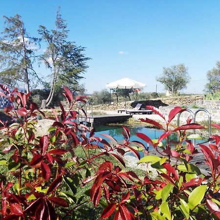 Bela Vista Silo Housing Villa Алфандега да Фе Екстериор снимка
