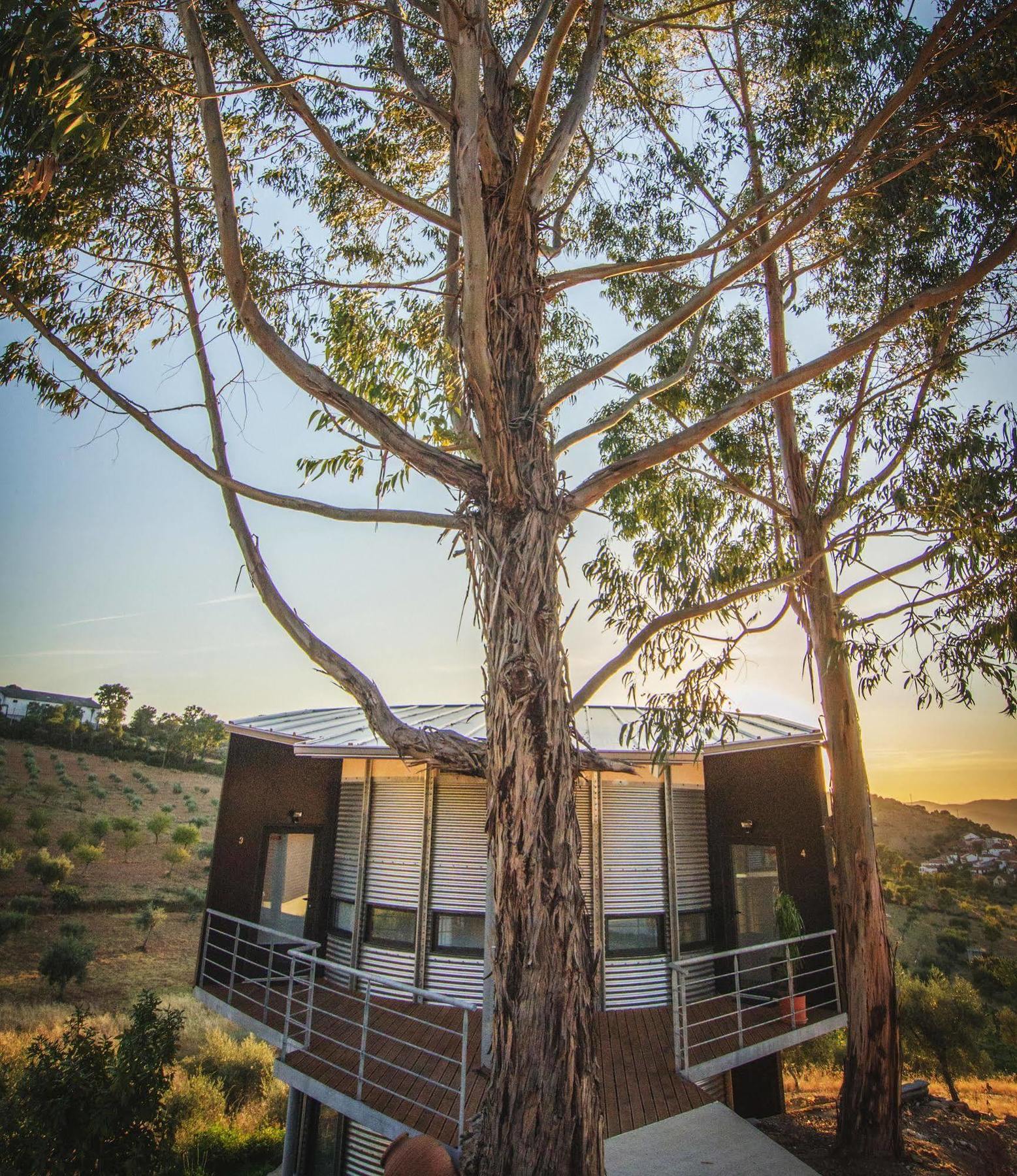 Bela Vista Silo Housing Villa Алфандега да Фе Екстериор снимка